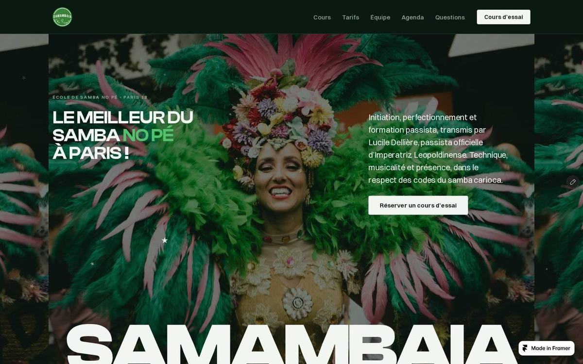 Samambaia - L'identité et le site d'une école de samba no pé, de Rio à Paris.